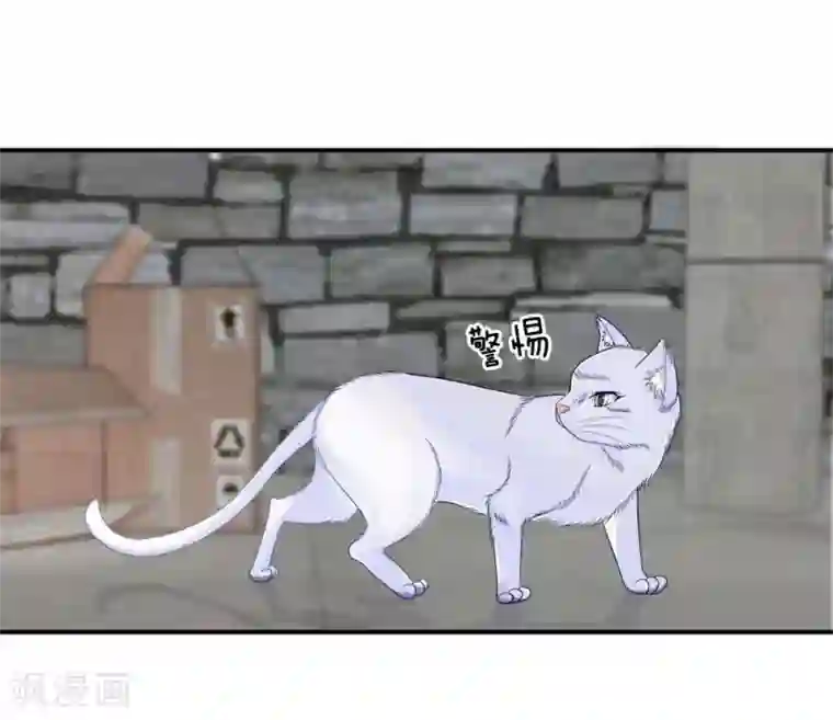 不喜欢全世界精修版第1-4话 这么点小事都做不好