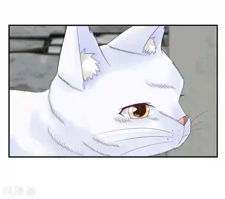 不喜欢全世界精修版第1-4话 这么点小事都做不好