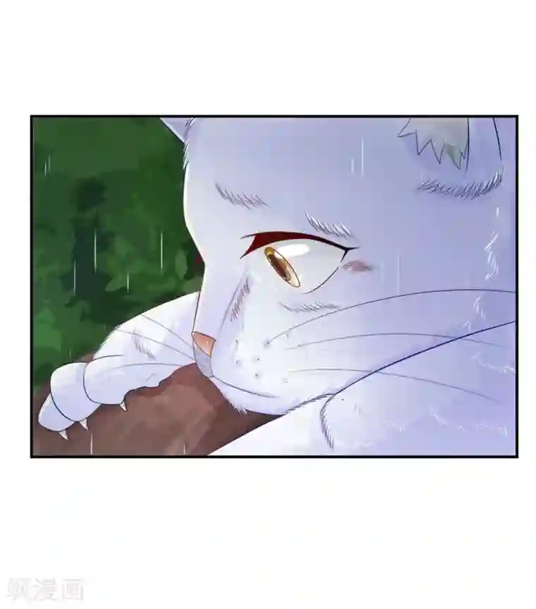 不喜欢全世界精修版第5-8话 小猫儿别怕