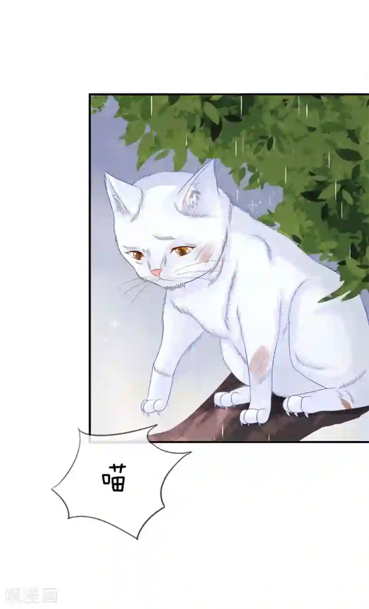 不喜欢全世界精修版第5-8话 小猫儿别怕