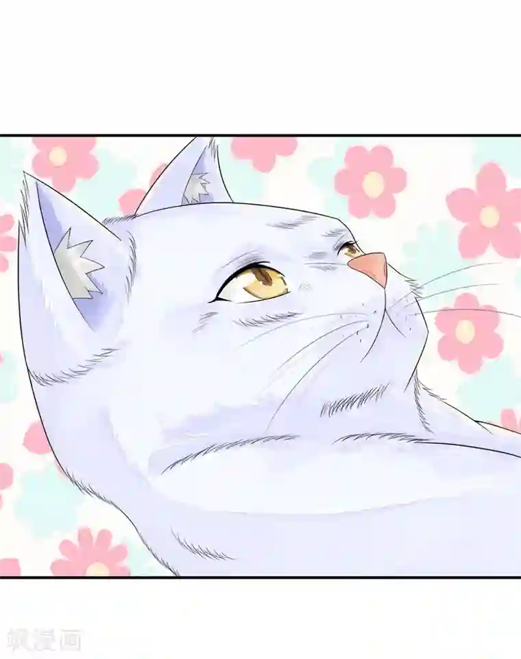 不喜欢全世界精修版第5-8话 小猫儿别怕