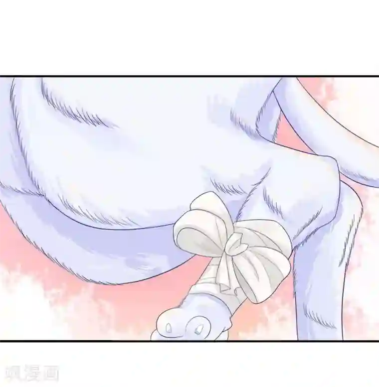 不喜欢全世界精修版第5-8话 小猫儿别怕