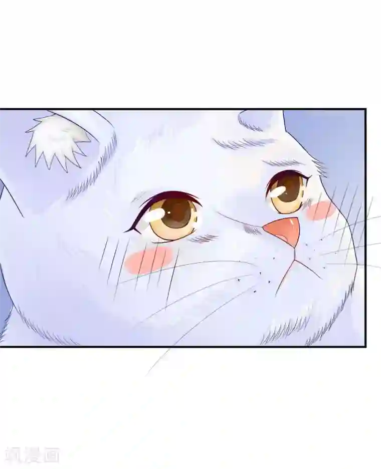不喜欢全世界精修版第5-8话 小猫儿别怕