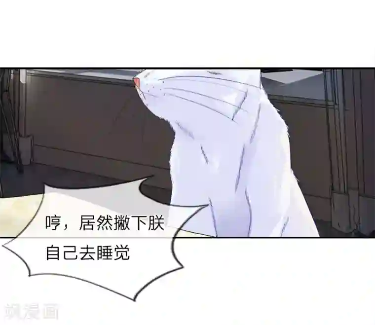 不喜欢全世界精修版第5-8话 小猫儿别怕