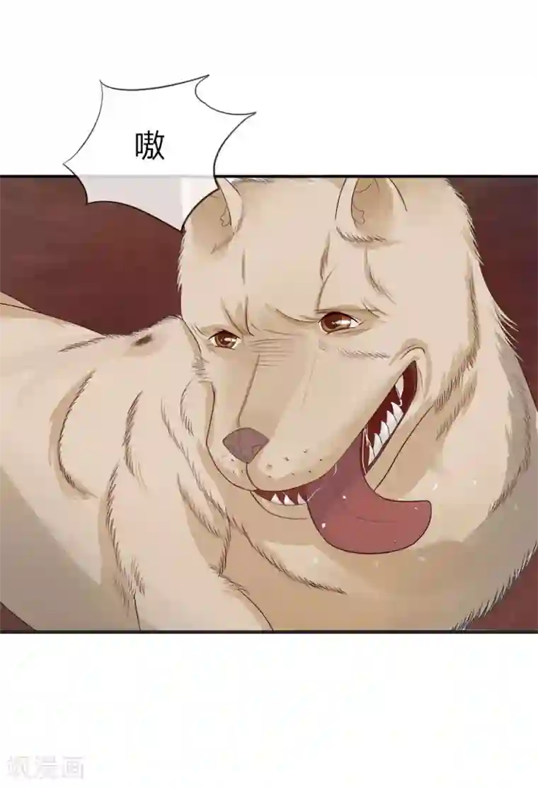 不喜欢全世界精修版第5-8话 小猫儿别怕