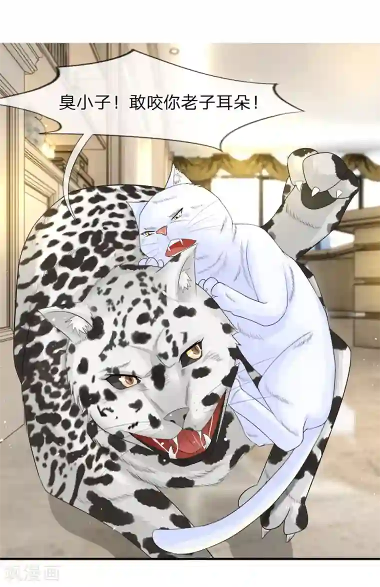 不喜欢全世界精修版第13-16话 我的爸爸是雪豹