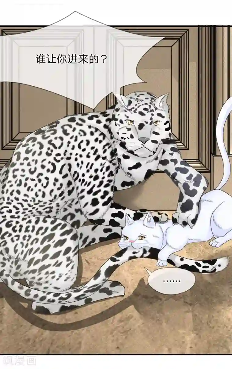 不喜欢全世界精修版第13-16话 我的爸爸是雪豹