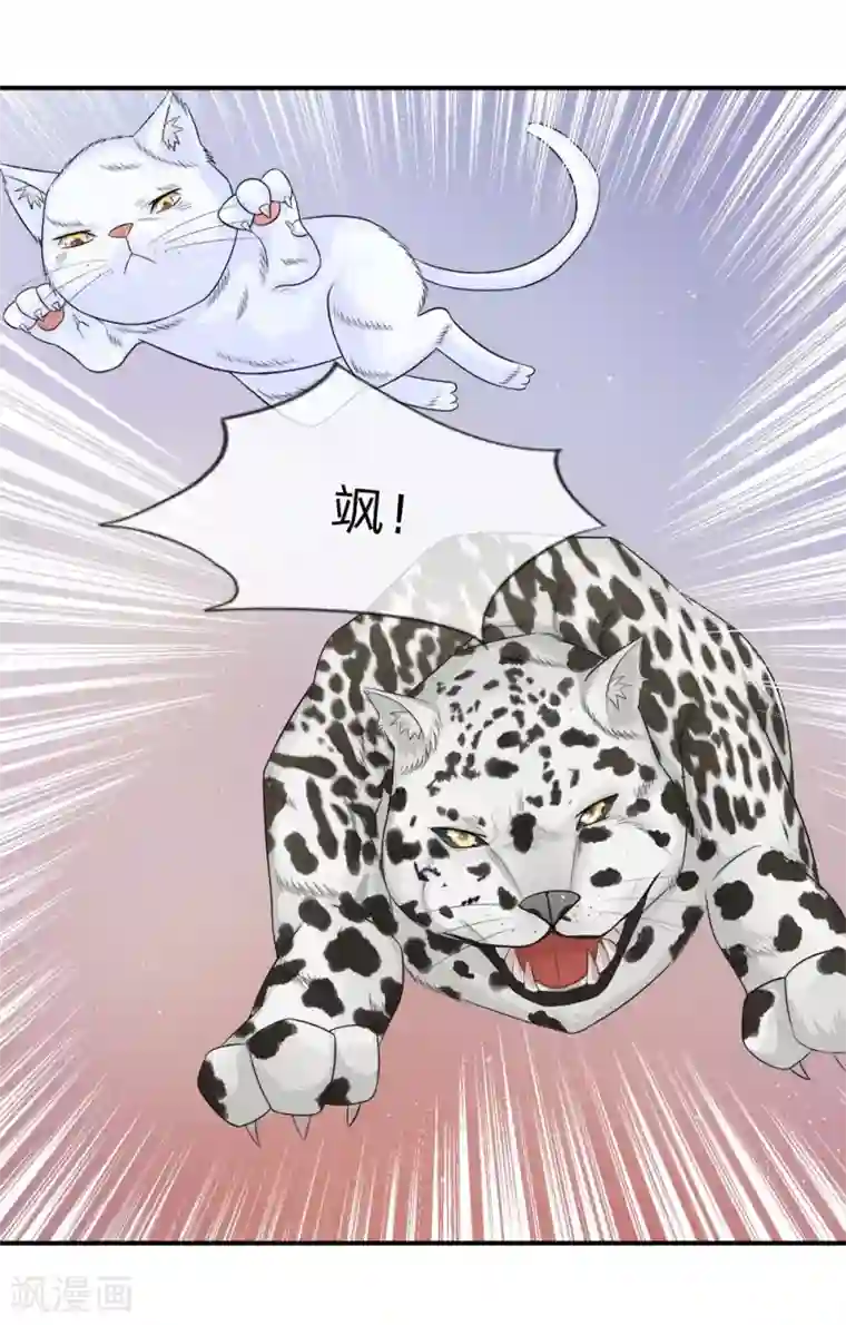 不喜欢全世界精修版第13-16话 我的爸爸是雪豹