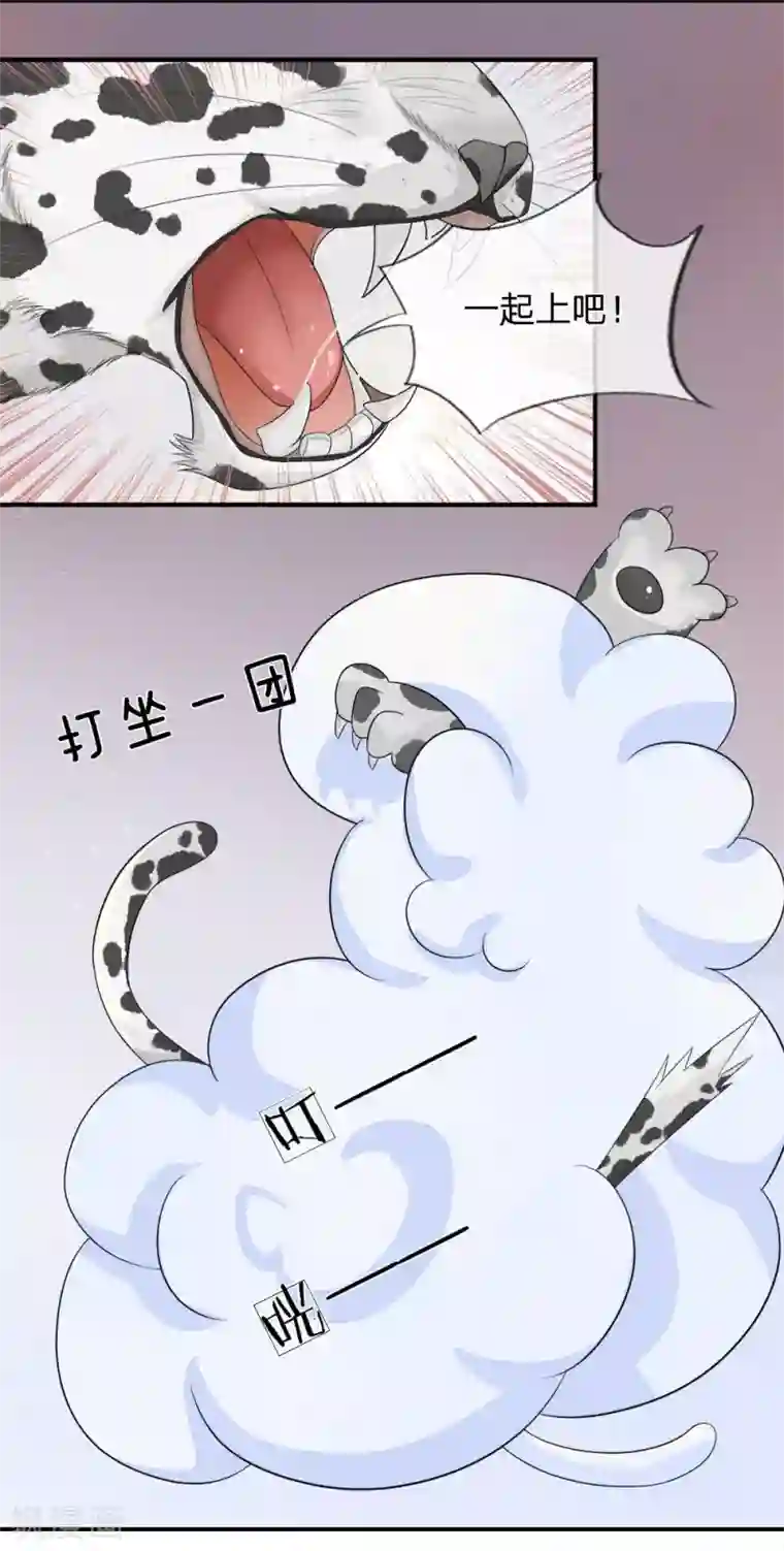 不喜欢全世界精修版第13-16话 我的爸爸是雪豹