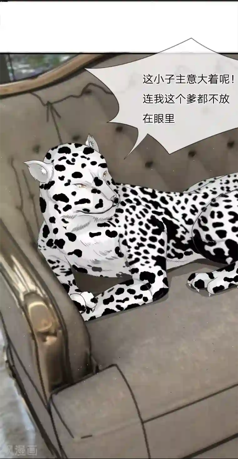 不喜欢全世界精修版第13-16话 我的爸爸是雪豹