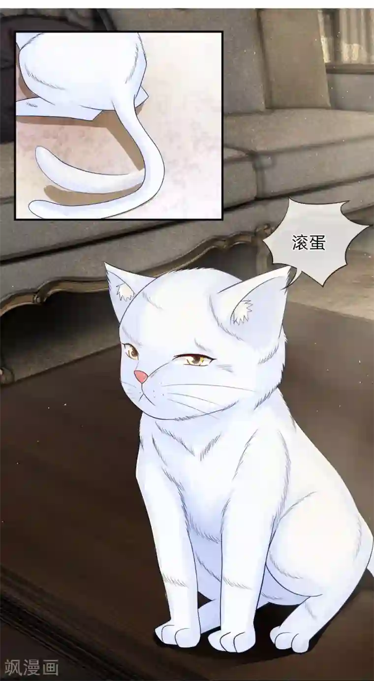 不喜欢全世界精修版第13-16话 我的爸爸是雪豹