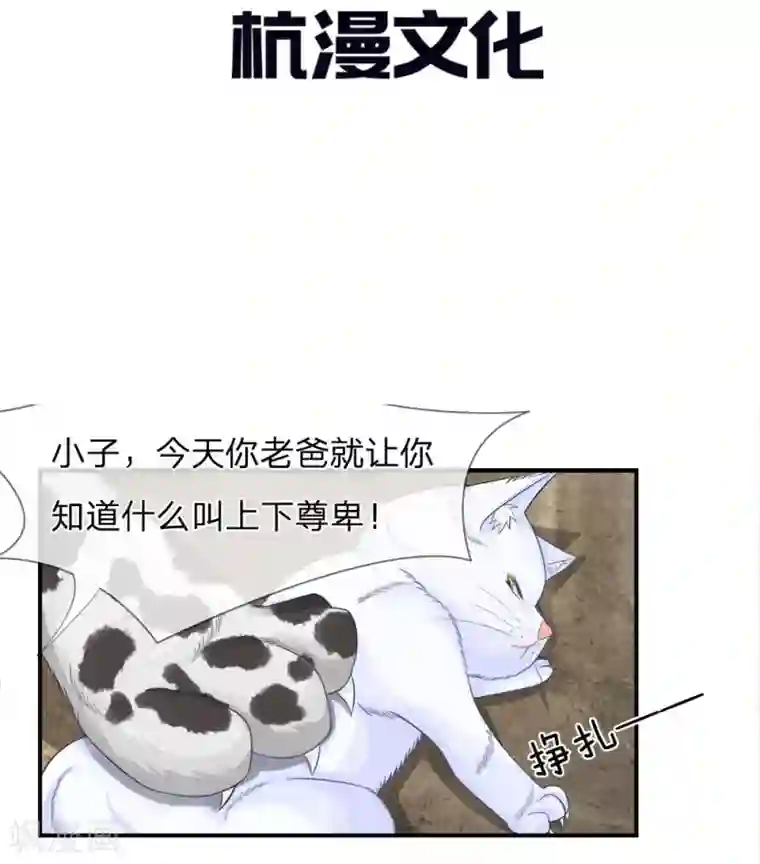 不喜欢全世界精修版第13-16话 我的爸爸是雪豹