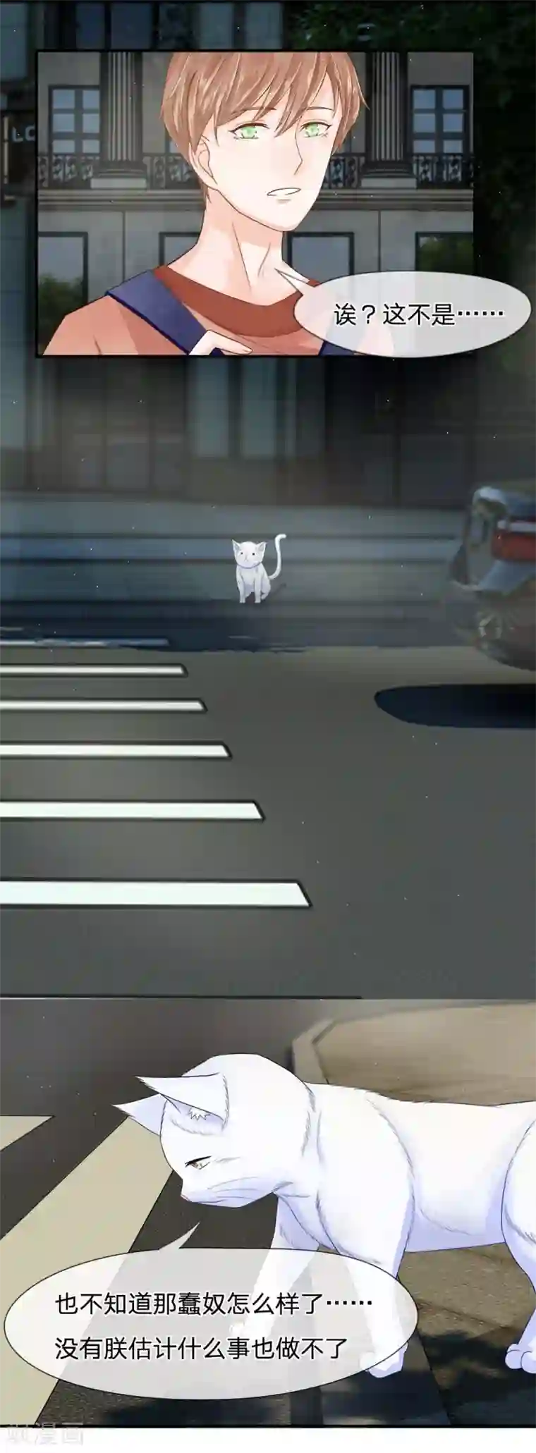 不喜欢全世界精修版第13-16话 我的爸爸是雪豹