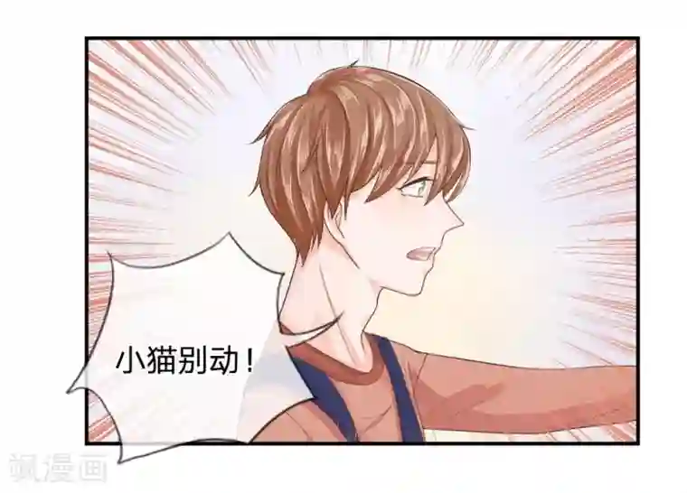 不喜欢全世界精修版第13-16话 我的爸爸是雪豹