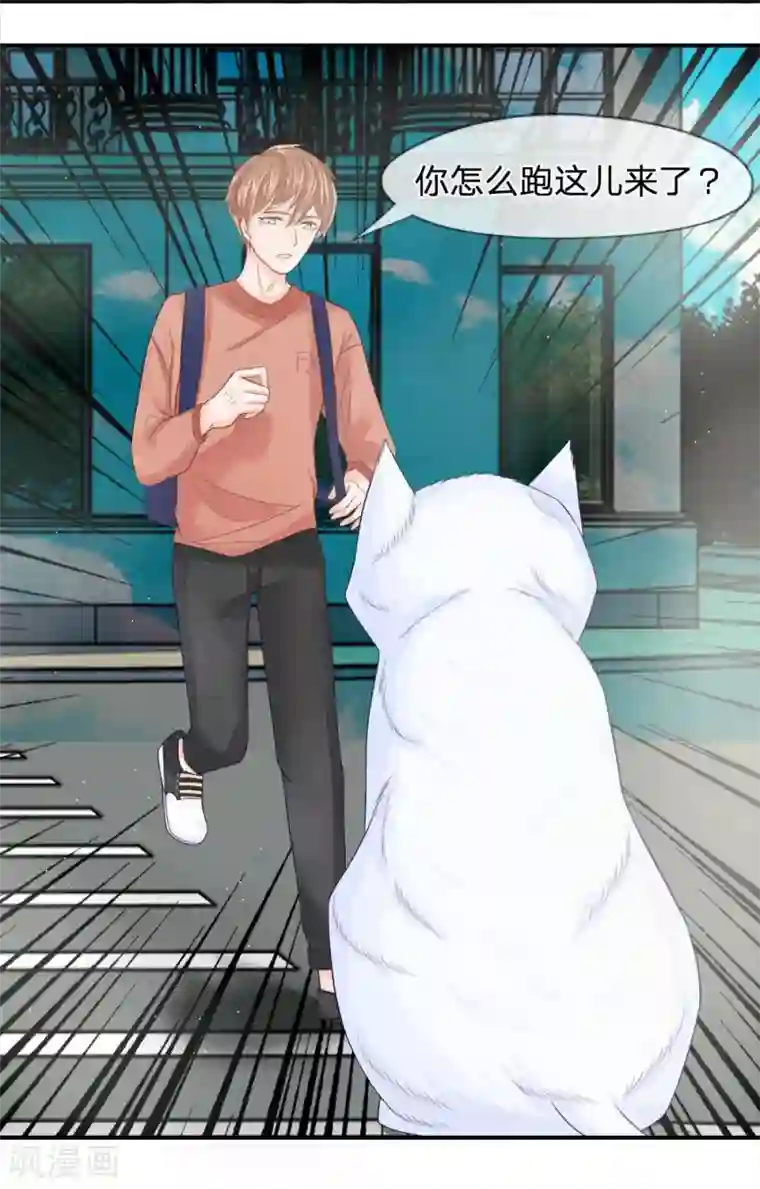 不喜欢全世界精修版第13-16话 我的爸爸是雪豹
