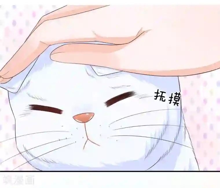 不喜欢全世界精修版第13-16话 我的爸爸是雪豹