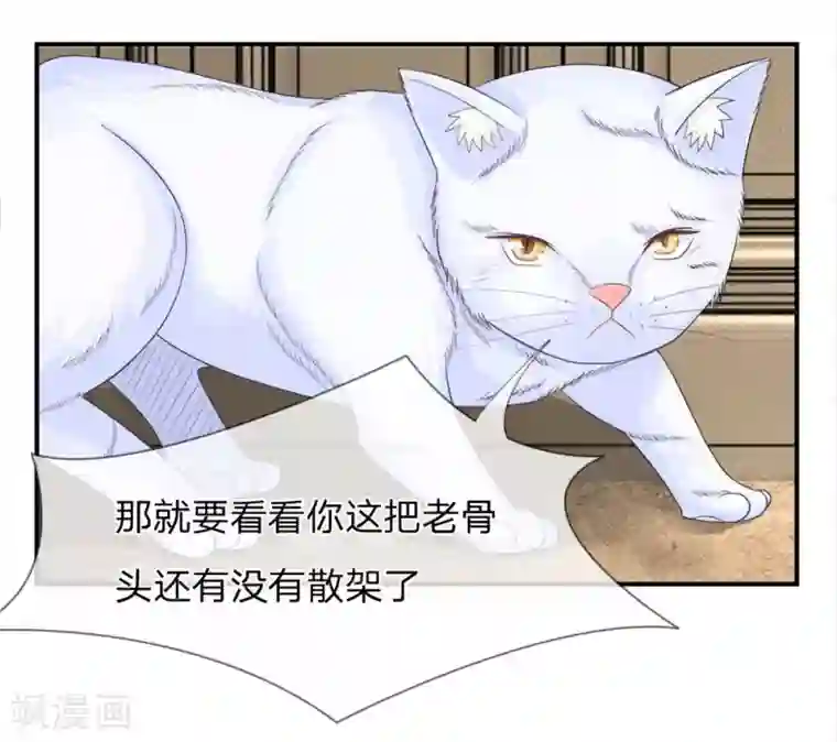 不喜欢全世界精修版第13-16话 我的爸爸是雪豹