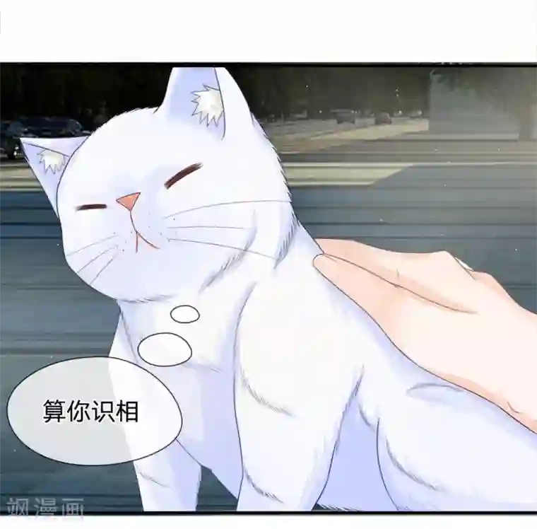 不喜欢全世界精修版第13-16话 我的爸爸是雪豹