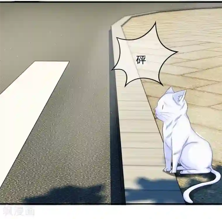 不喜欢全世界精修版第13-16话 我的爸爸是雪豹