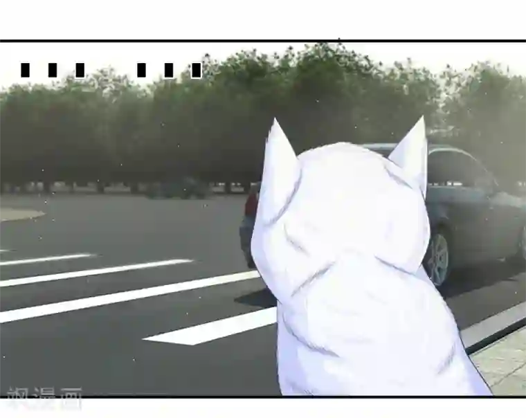 不喜欢全世界精修版第13-16话 我的爸爸是雪豹