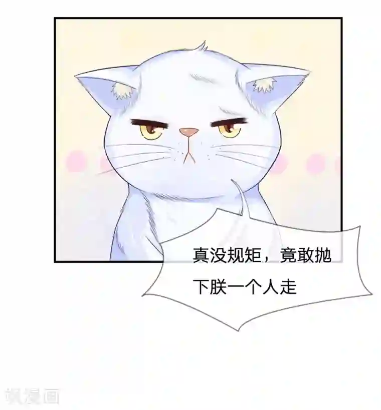 不喜欢全世界精修版第13-16话 我的爸爸是雪豹