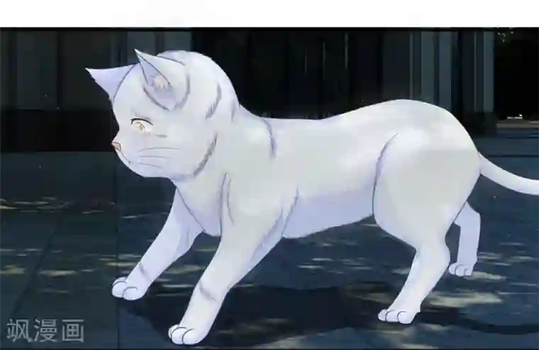 不喜欢全世界精修版第13-16话 我的爸爸是雪豹