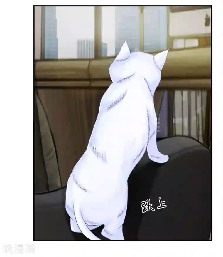 不喜欢全世界精修版第13-16话 我的爸爸是雪豹