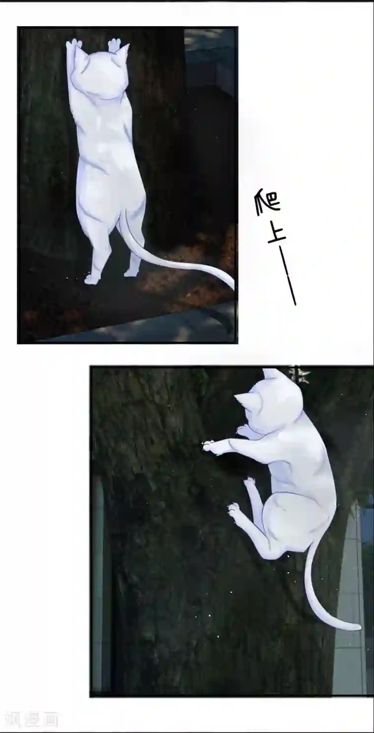 不喜欢全世界精修版第13-16话 我的爸爸是雪豹