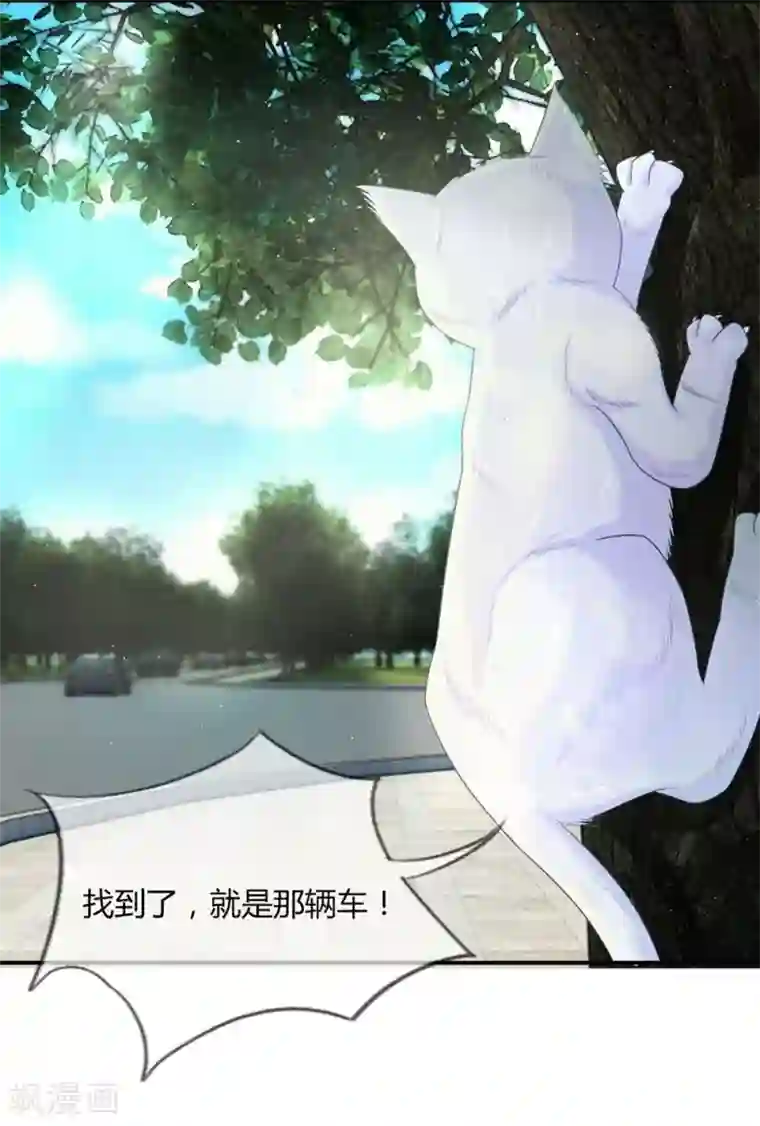 不喜欢全世界精修版第13-16话 我的爸爸是雪豹