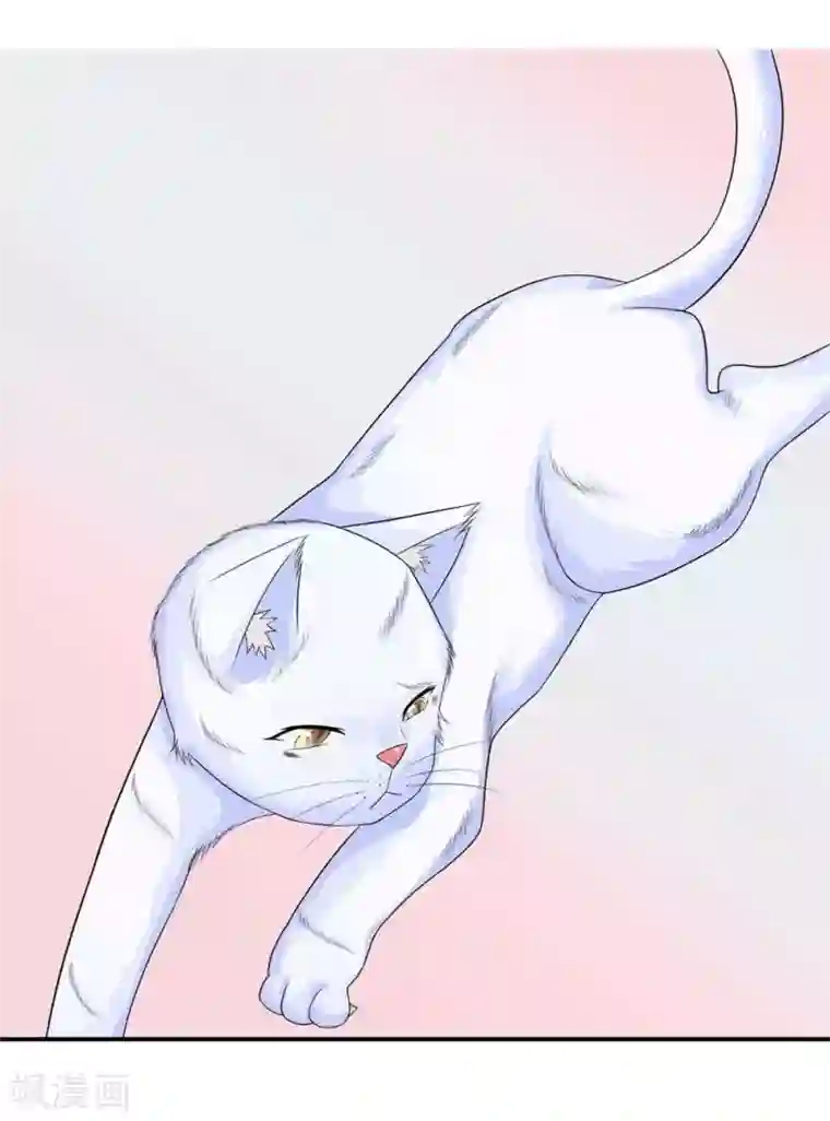 不喜欢全世界精修版第13-16话 我的爸爸是雪豹