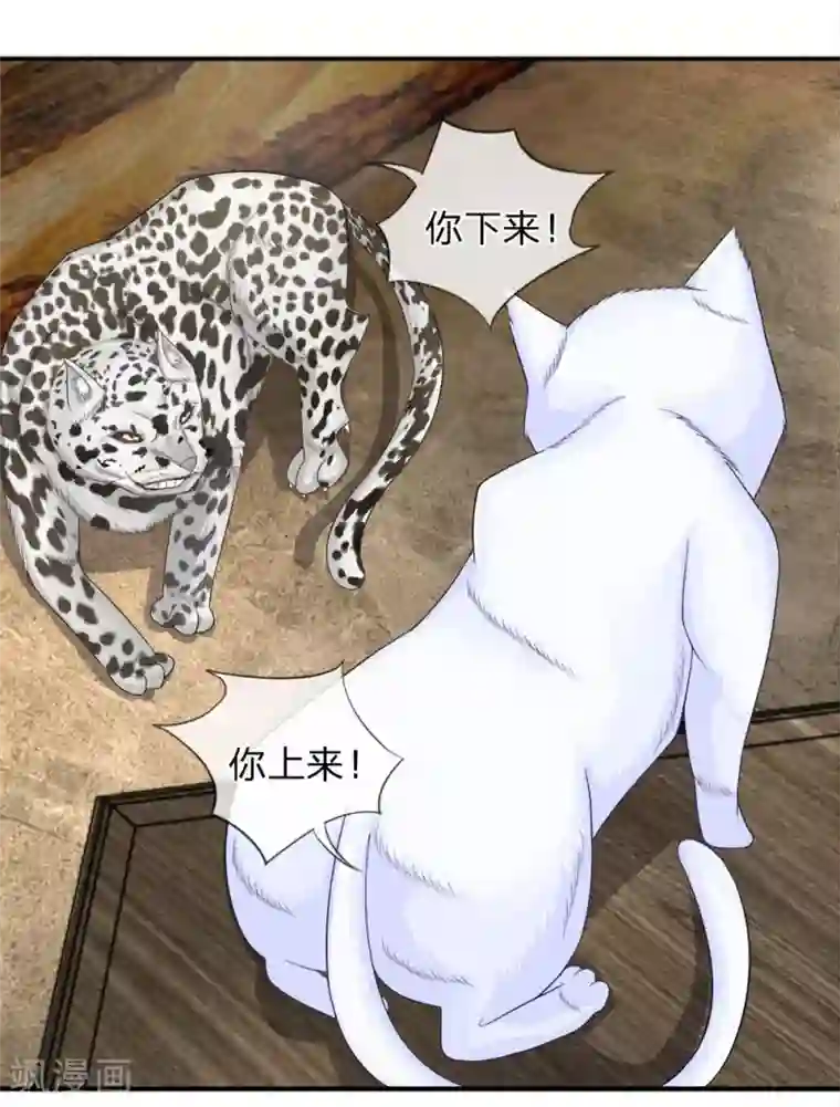 不喜欢全世界精修版第13-16话 我的爸爸是雪豹