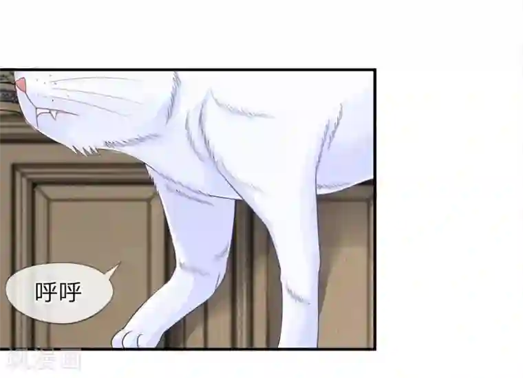 不喜欢全世界精修版第13-16话 我的爸爸是雪豹