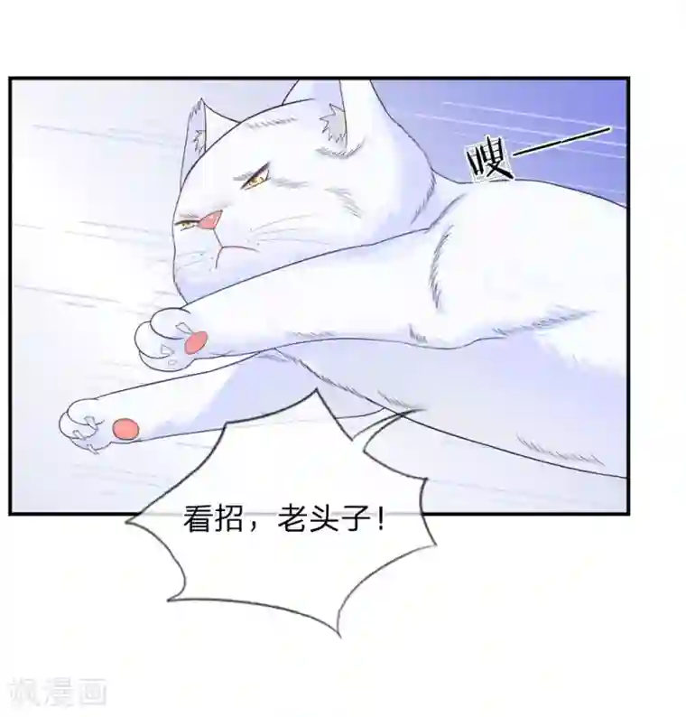 不喜欢全世界精修版第13-16话 我的爸爸是雪豹