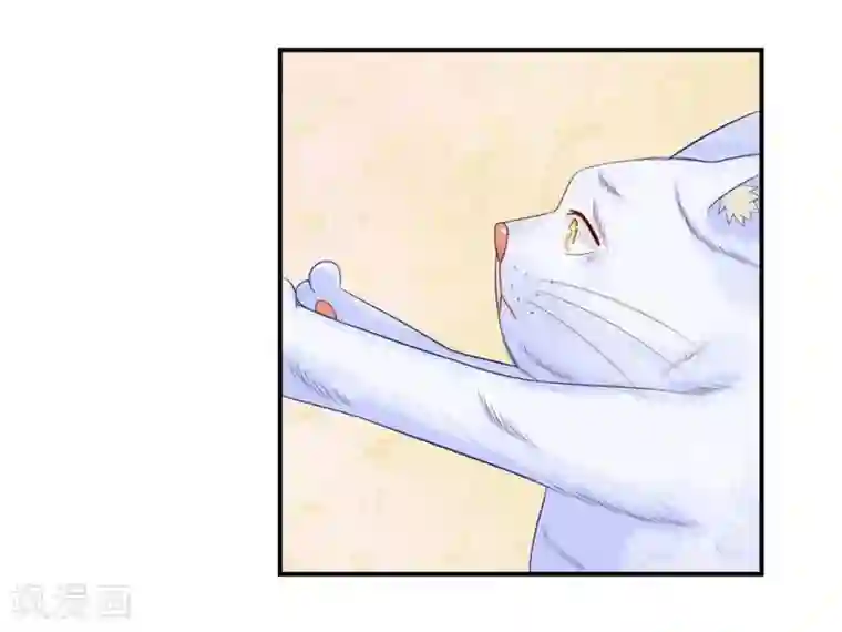 不喜欢全世界第19话 能遇见你，真好