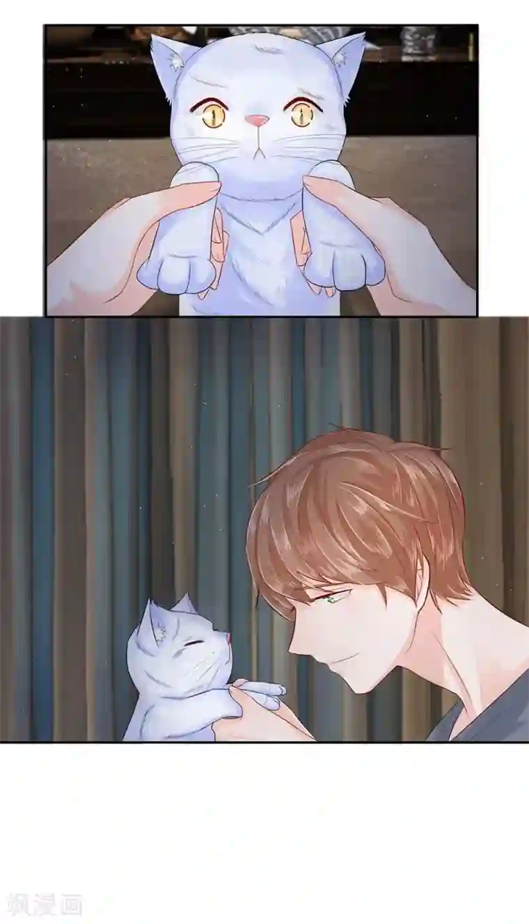 不喜欢全世界第22话 难道是幻觉吗