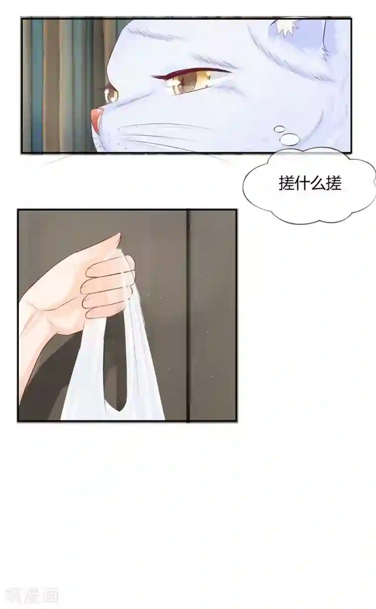 不喜欢全世界第23话 蠢奴简直不像话