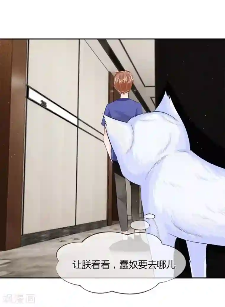 不喜欢全世界第24话 没了朕你可怎么办