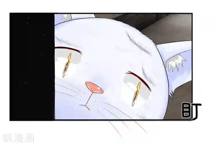 不喜欢全世界第24话 没了朕你可怎么办