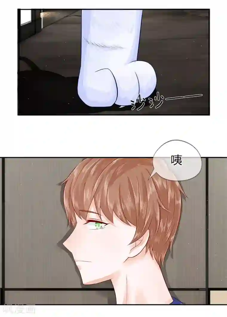 不喜欢全世界第24话 没了朕你可怎么办