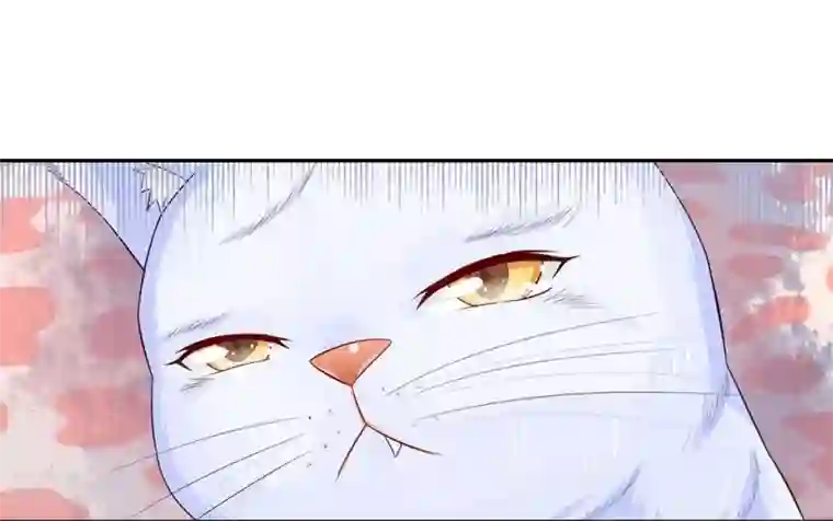 不喜欢全世界第25话 朕是你能摸的嘛！