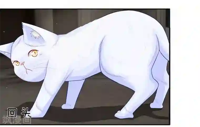 不喜欢全世界第26话 蠢奴居然撵朕？