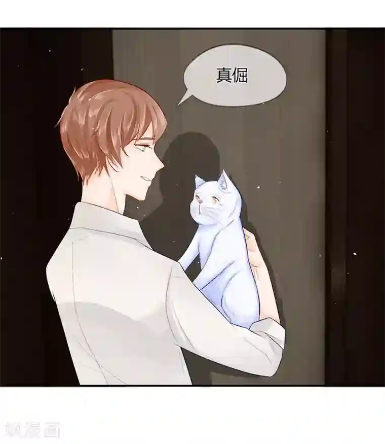 不喜欢全世界第26话 蠢奴居然撵朕？