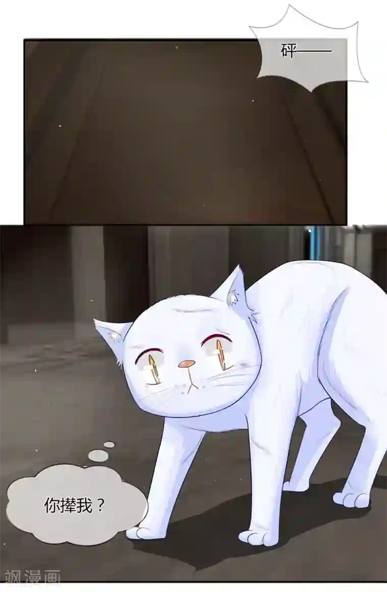 不喜欢全世界第26话 蠢奴居然撵朕？