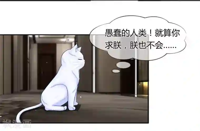 不喜欢全世界第26话 蠢奴居然撵朕？