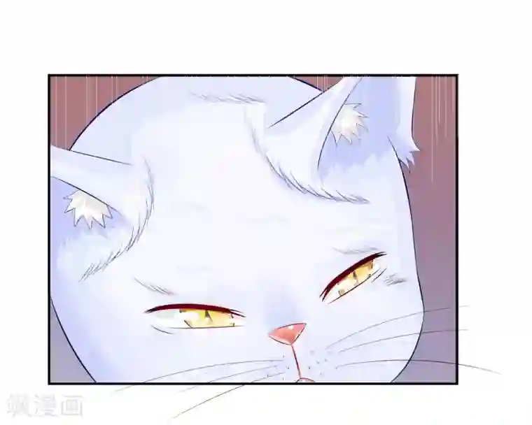 不喜欢全世界第29话 韩佳人遇险