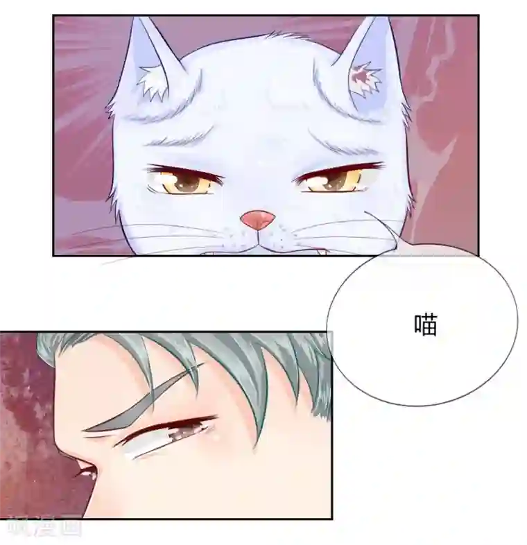 不喜欢全世界第46-47话 千钧一发