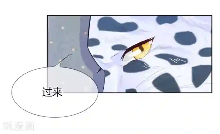 不喜欢全世界第48-49话 你是小白