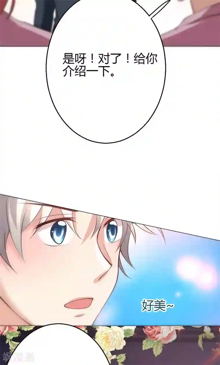 圣医重生计划第14话