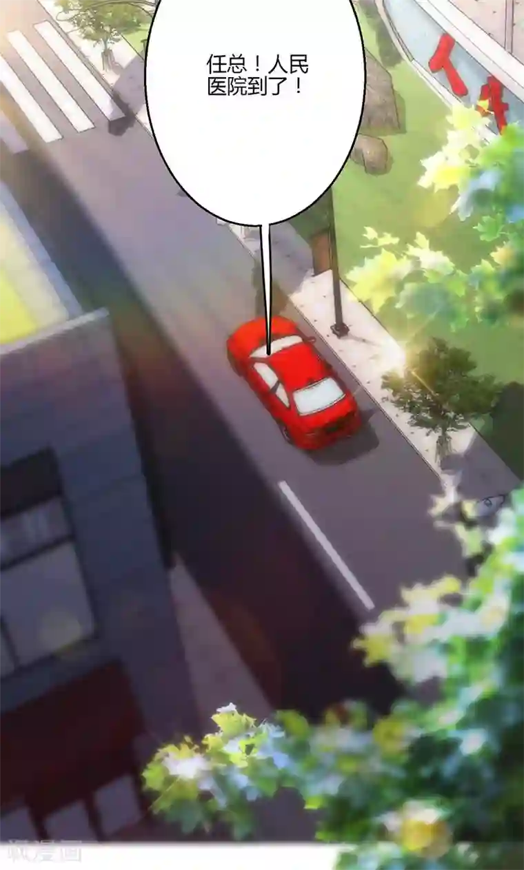 圣医重生计划第16话