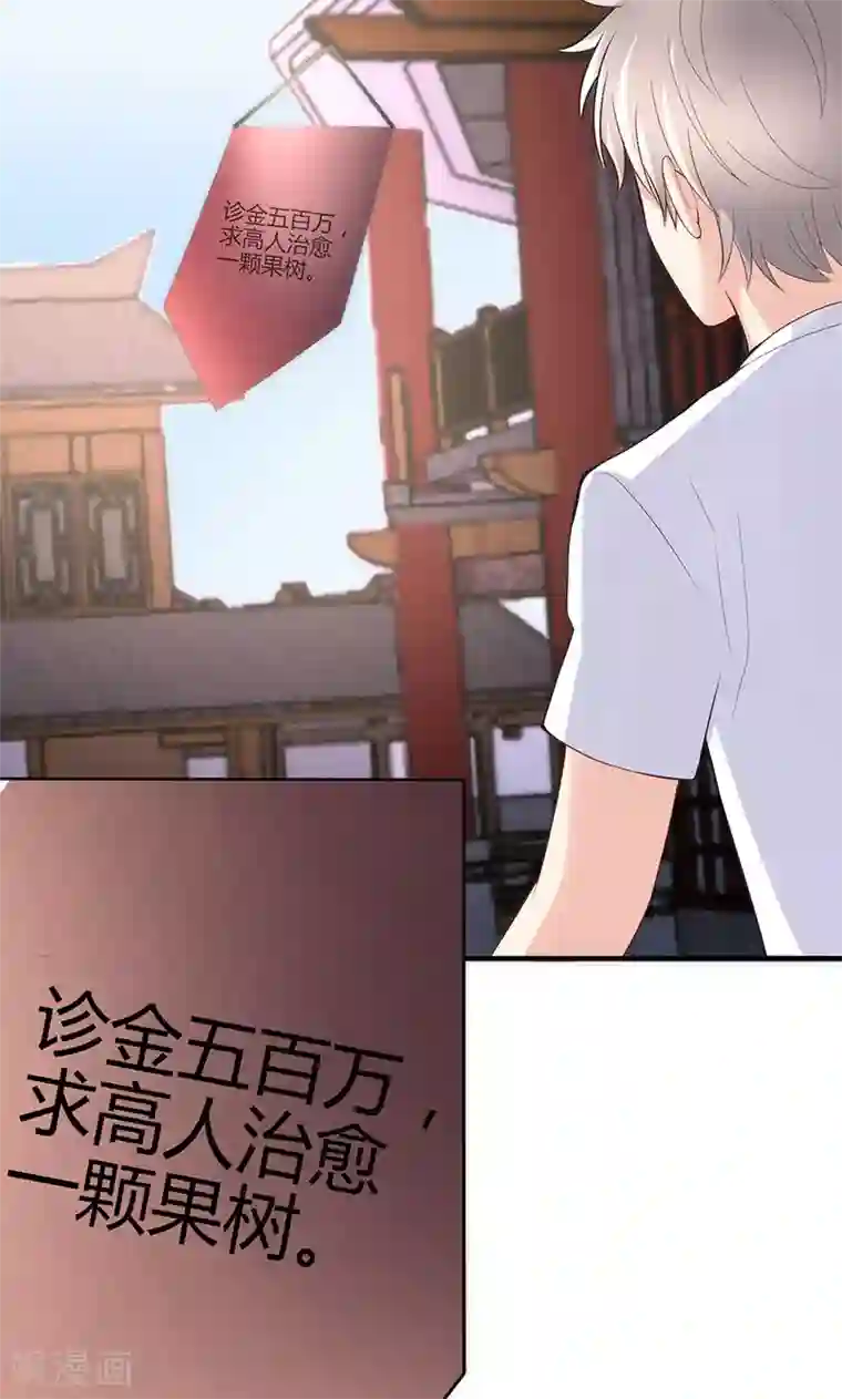 圣医重生计划第74话